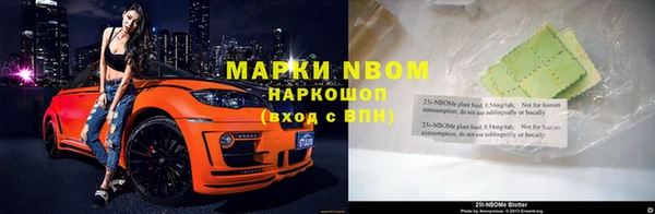 прущие грибы Балахна