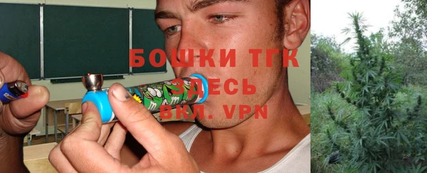 прущие грибы Балахна