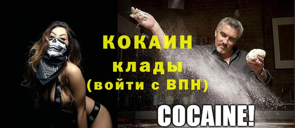прущие грибы Балахна